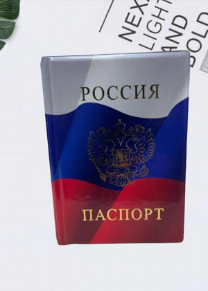 Обложка для паспорта 21101712