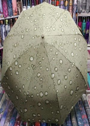 Зонт 21155804