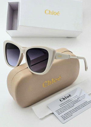 Набор солнцезащитные очки, коробка, чехол + салфетки 21178017