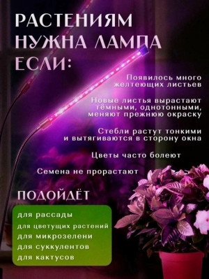 Комплект 23056224