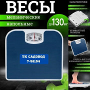 Весы