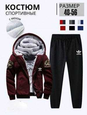 Спортивный костюм 23123136