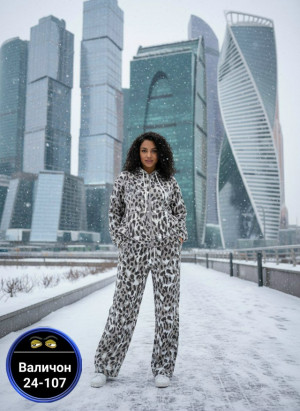 Спортивный костюм #23162314