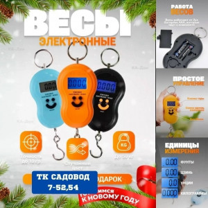 Весы #23171222