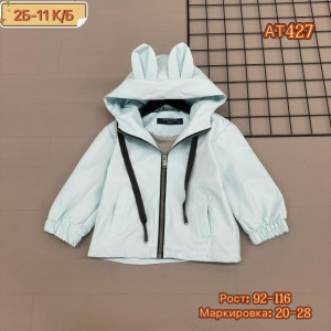 Ветровка #23211979