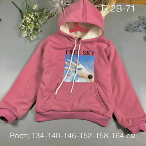 Толстовка 23226632