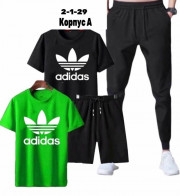 Спортивный костюм