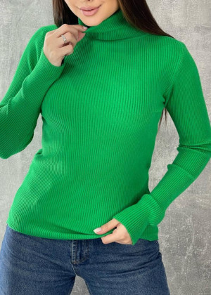 Водолазка #23239422