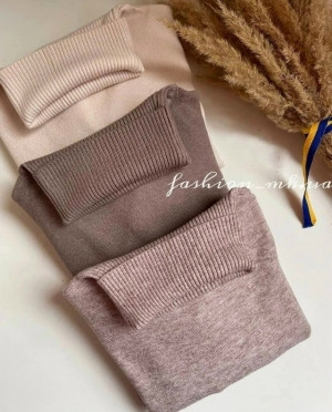 Водолазка 23250036