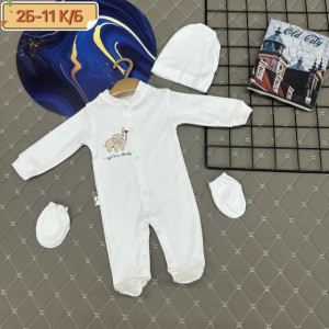 Комбинезон #23273583