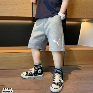 Шорты #23288448