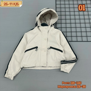 Ветровка #23294785