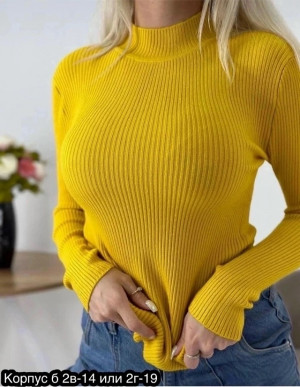 Водолазка #23315518