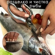 Ножницы