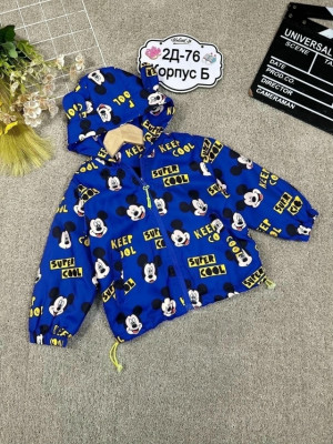 Ветровка #23337188