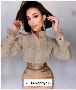 Блузка #23346387