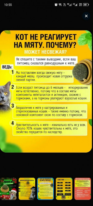 Форма #23369978