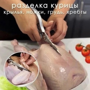 Ножницы #23393108