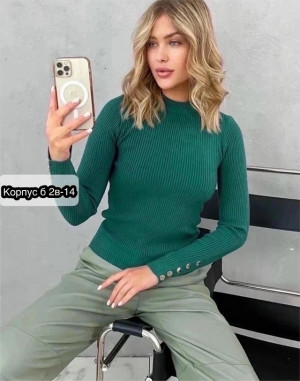 Водолазка #23399835