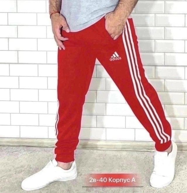 Штаны