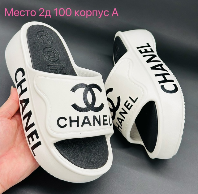 Сланцы 22689705