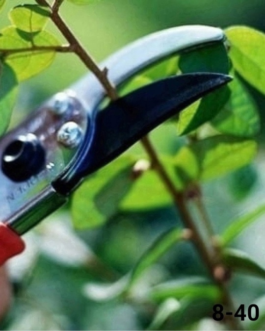 Секатор 22918388