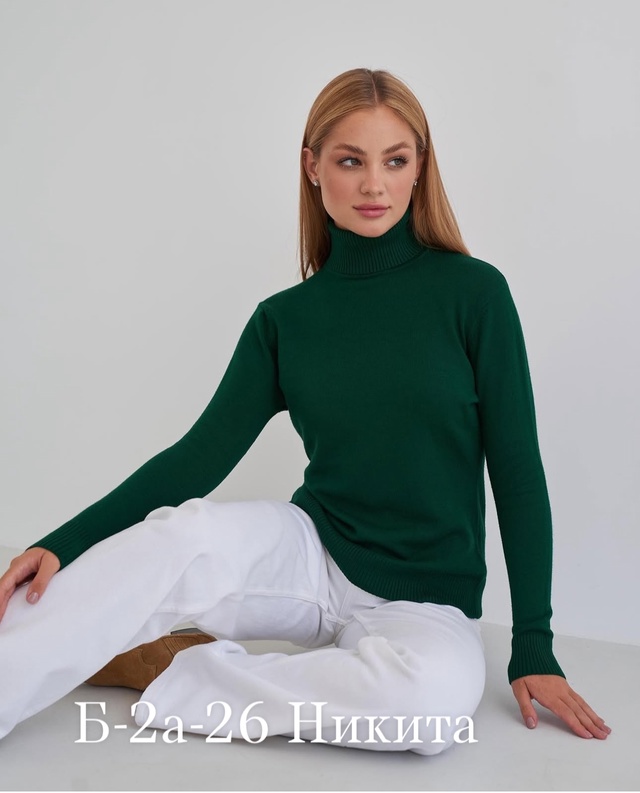 Водолазка 22969204