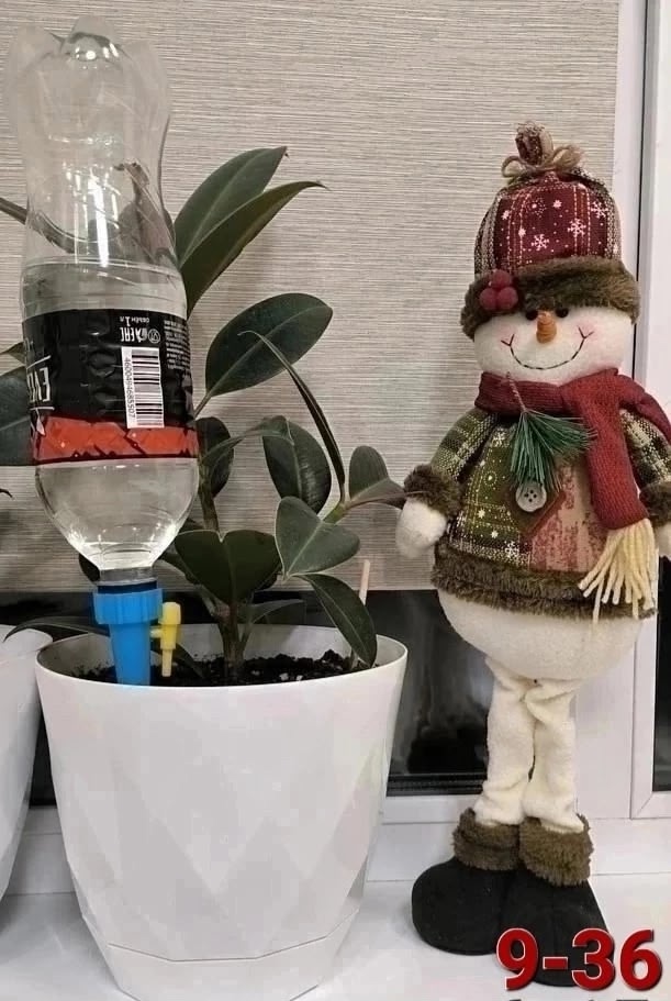 Автополив для растений 23013696