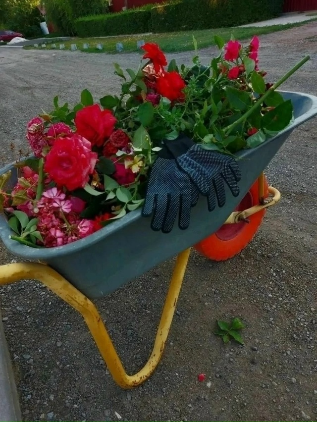 Перчатки 23020767