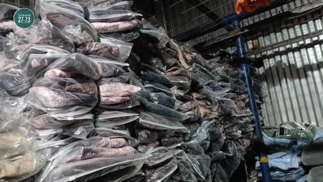 Пижама 23026981