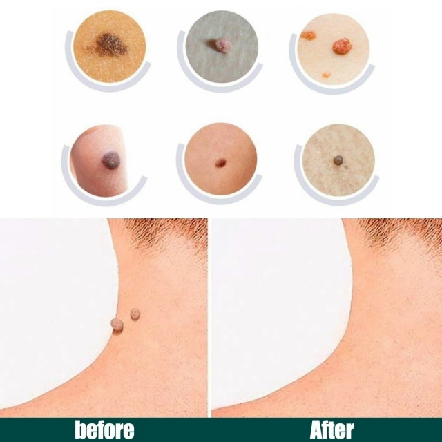 Артикул 23040886