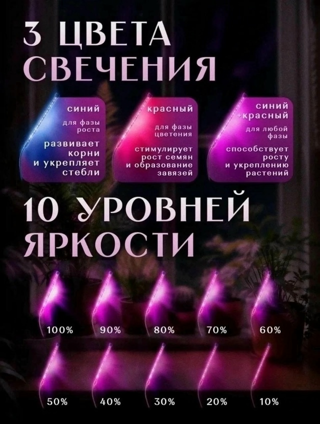 Комплект 23056224