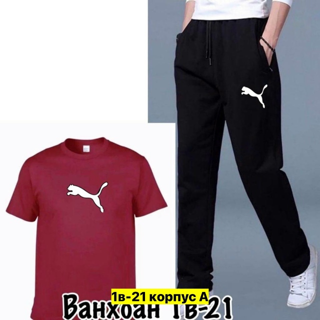 Спортивный костюм 23163291