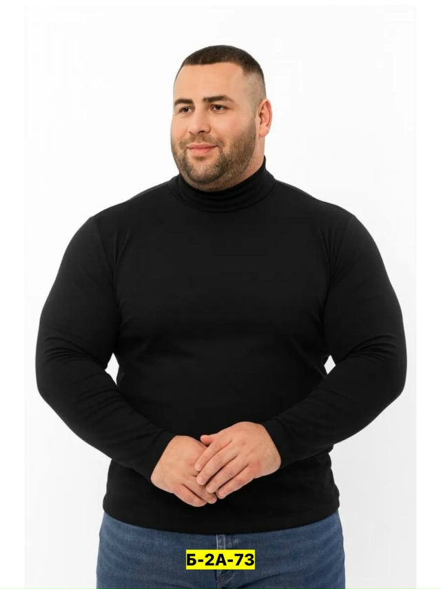 Водолазка 23173717