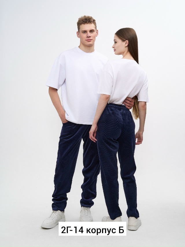 Брюки #23236344