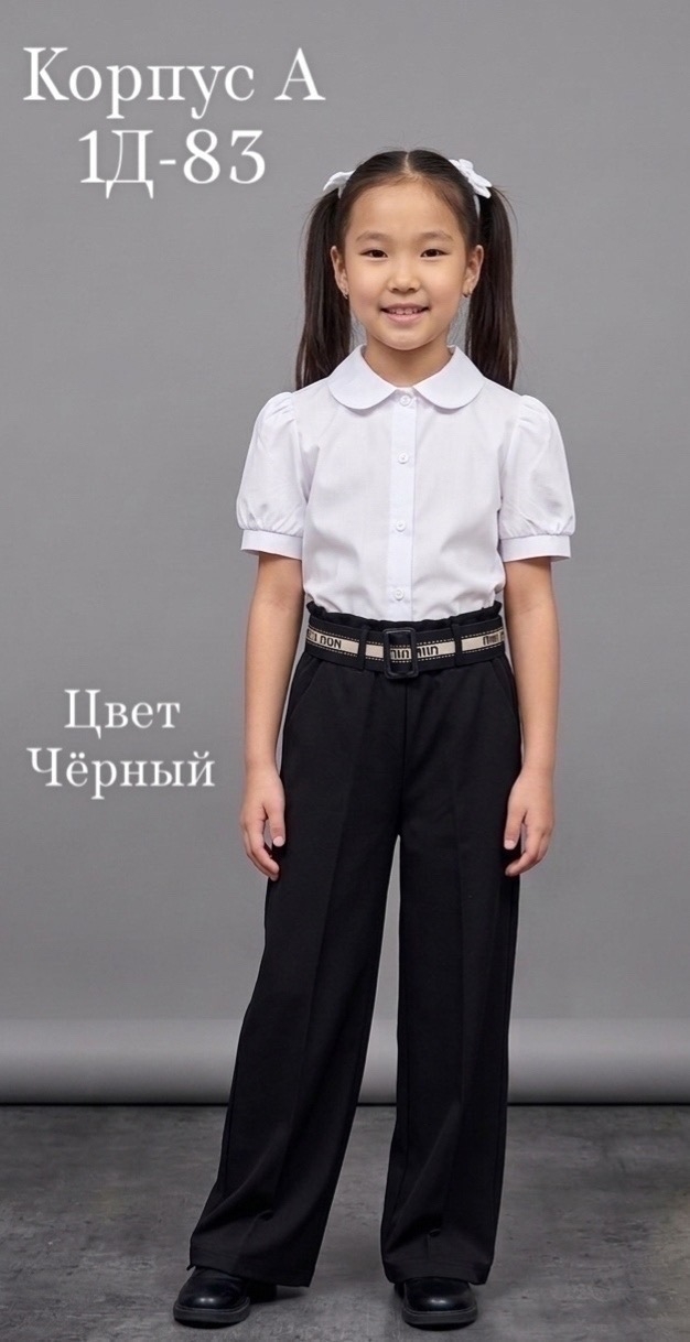 Штаны 23357267